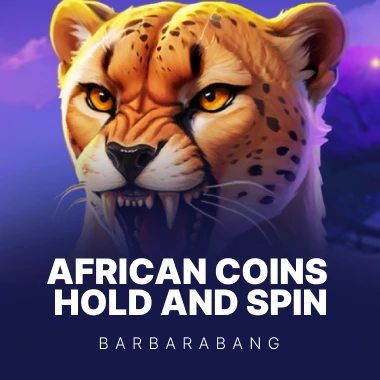 African Coins